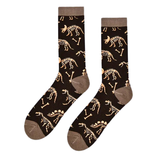 Chaussettes Fossiles de Dinosaures – vue produit 2