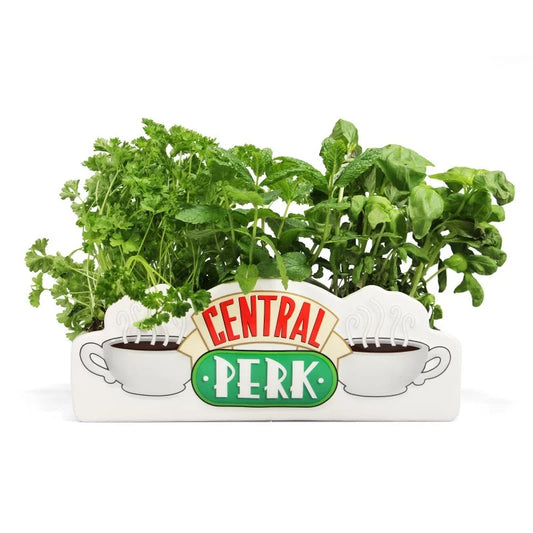 Pot de fleurs Friends - Central Perk