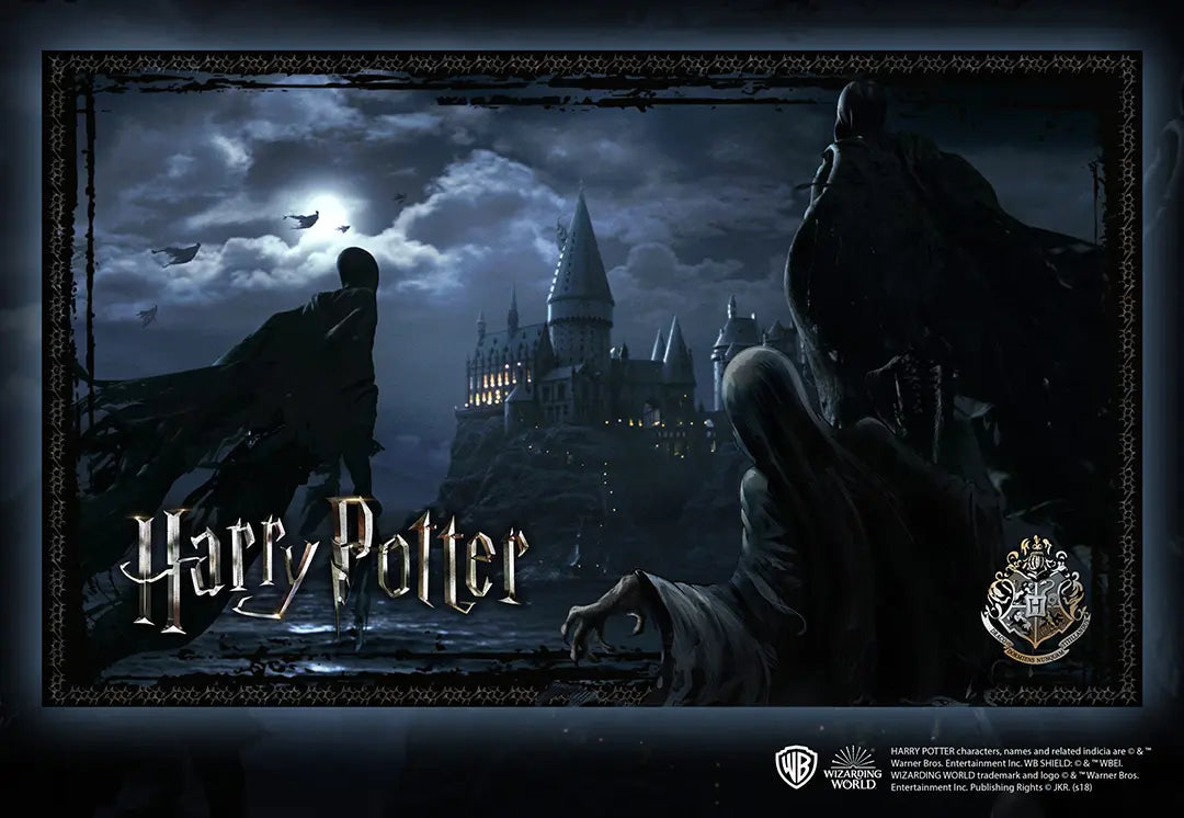 Puzzle Harry Potter Détraqueurs 1000 pièces - détail