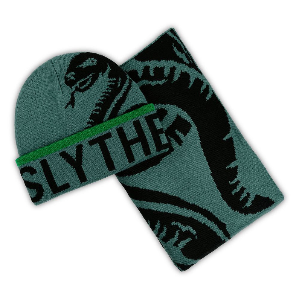 Ensemble bonnet et écharpe adulte Harry Potter - Serpentard