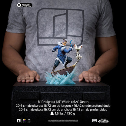 Statue Sokka - Avatar: The Last Airbender - Art Scale 1/10