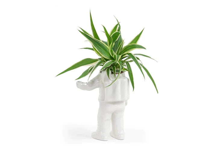 Pot de fleur Astronaute Bitten – Cache-pot original