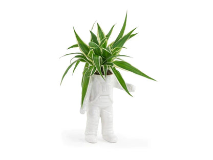 Pot de fleur Astronaute Bitten – Cache-pot original