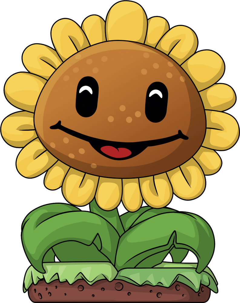 Sonnenblume