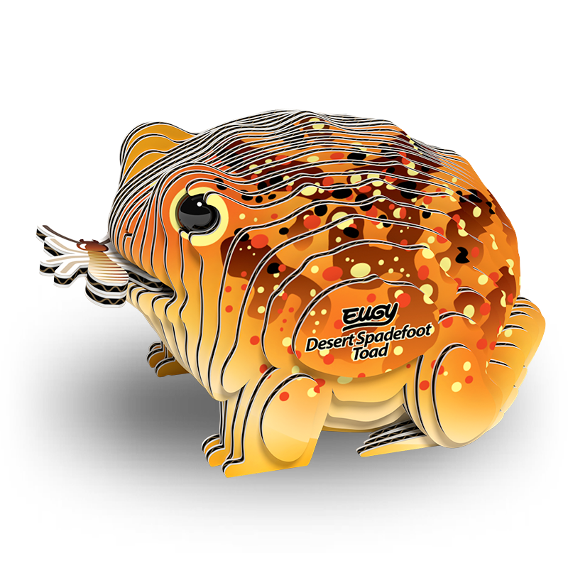 EUGY 3D - Crapaud Du Désert