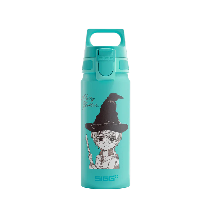 WMB ONE Kids Harry Potter 0.6 L Water Bottle 