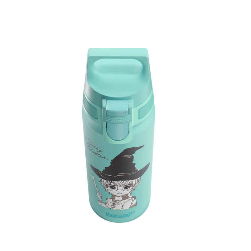 WMB ONE Kids Harry Potter 0.6 L Water Bottle 