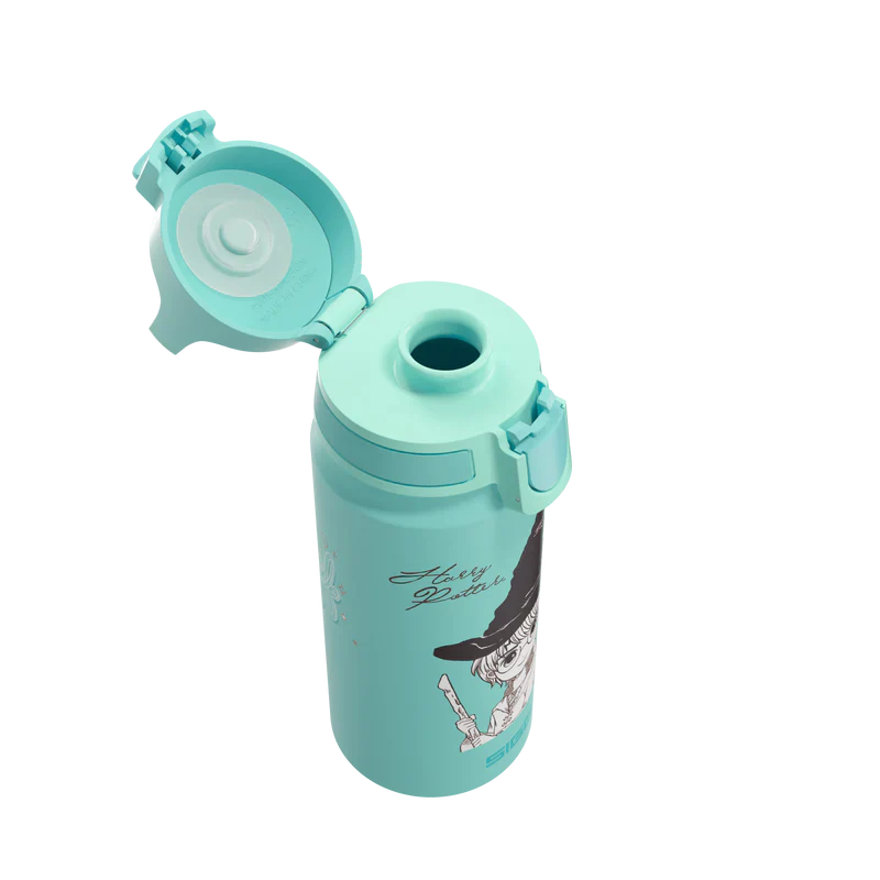 WMB ONE Kids Harry Potter 0.6 L Water Bottle 