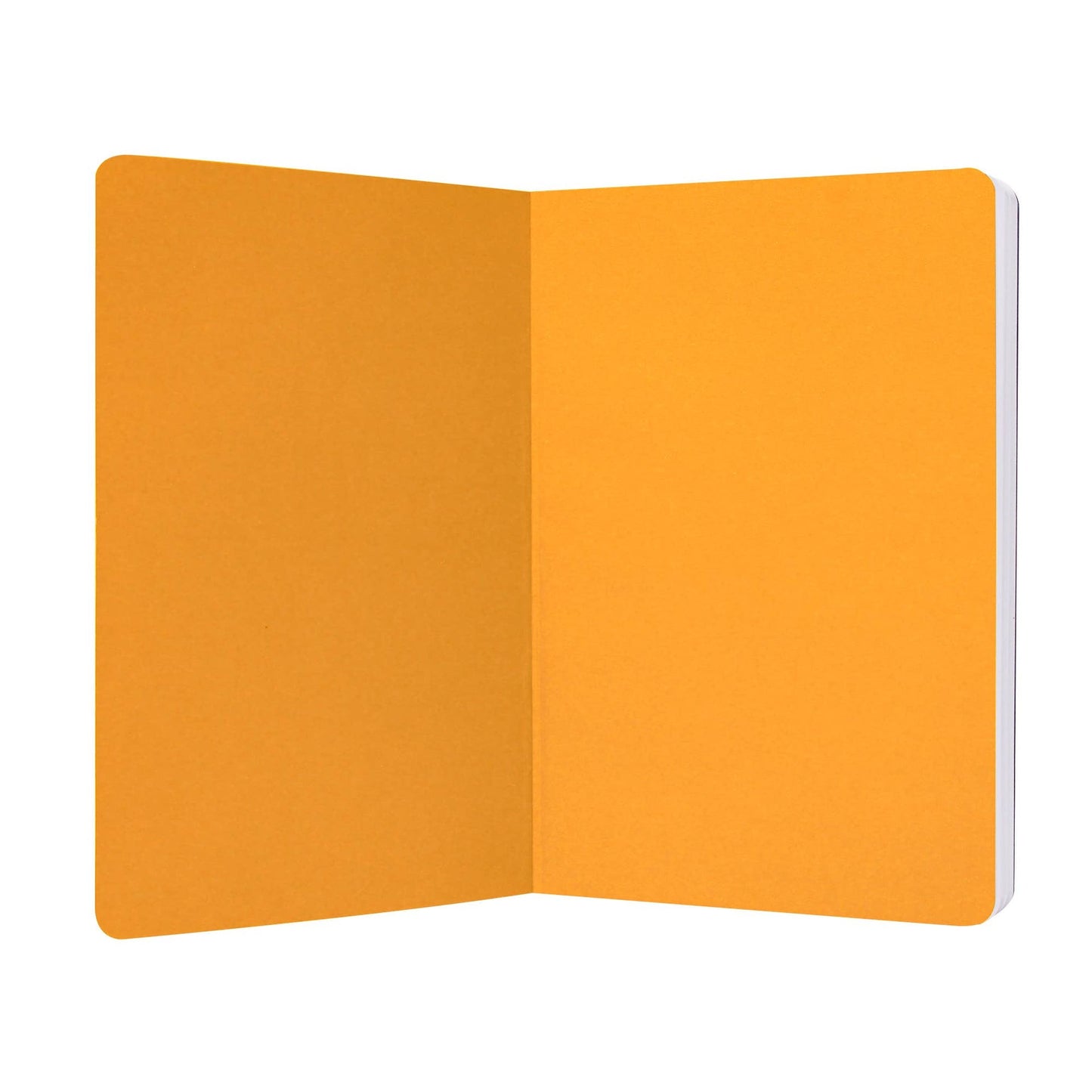 Harry Potter A5 Softcover-Notizbuch – Gryffindor