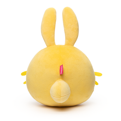 Slime Rancher Plush Blind Box