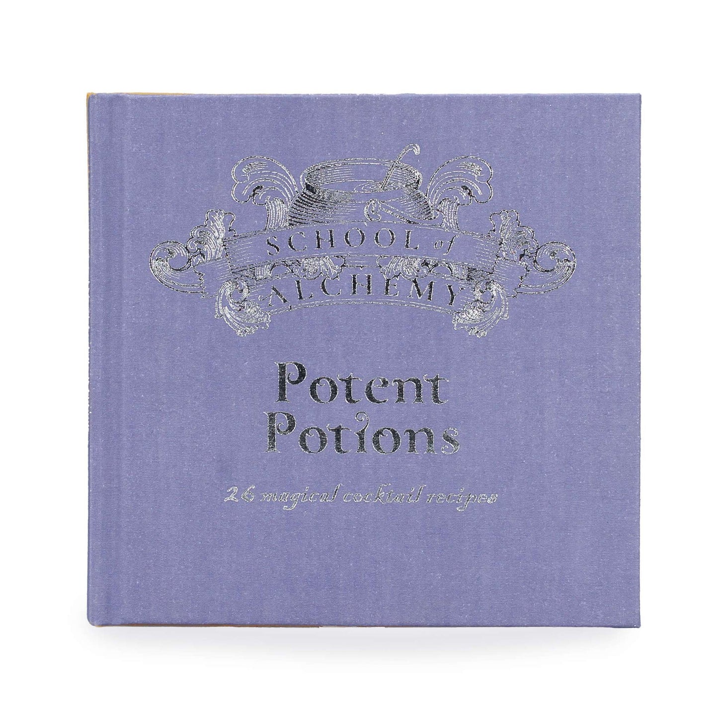 Livre cadeau School of Alchemy Potent Potions Harry Potter