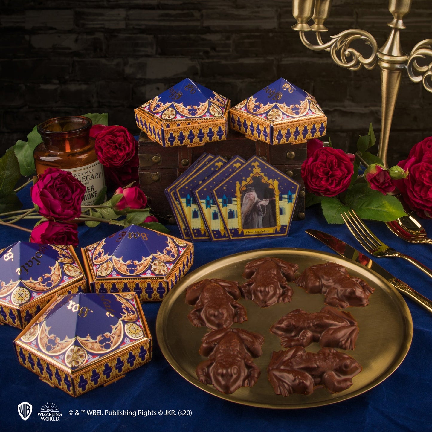 Moule à Chocogrenouilles + 12 cartes magiques + 6 boîtes Chocogrenouille (nouvelle édition)