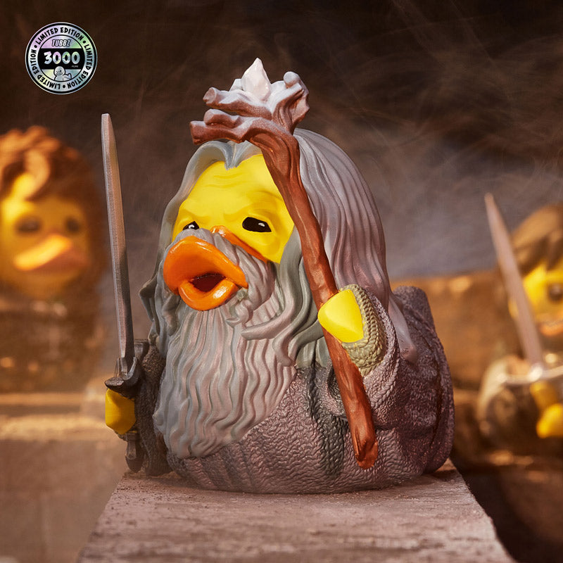 Duck Gandalf "Δεν θα περάσετε!"