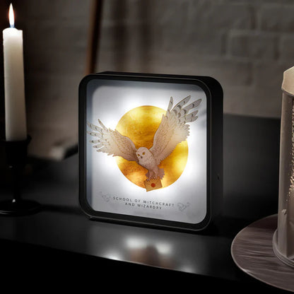 Harry Potter 3D-lamp - Hedwig