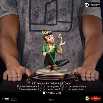 Statue Peter Pan & Tinkerbell – Disney Classics – Vintage Collection