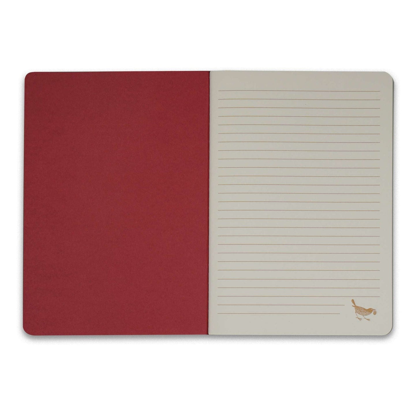 Lot de 2 carnets A5 - Rasp / Sage