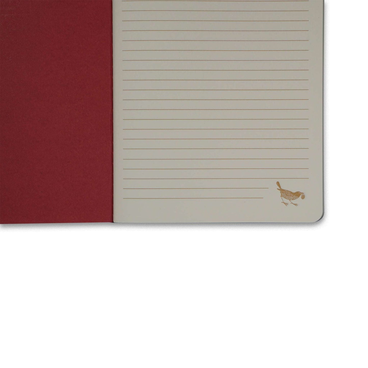 Lot de 2 carnets A5 - Rasp / Sage