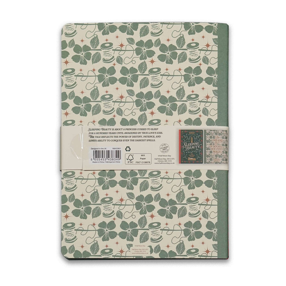 Lot de 2 carnets A5 La Belle au bois dormant
