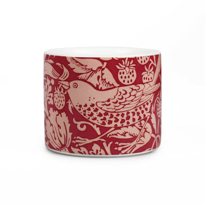 Cache-pot en céramique William Morris - ACS Raspberry 10 cm