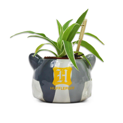 Pot de fleurs Harry Potter - Poufsouffle