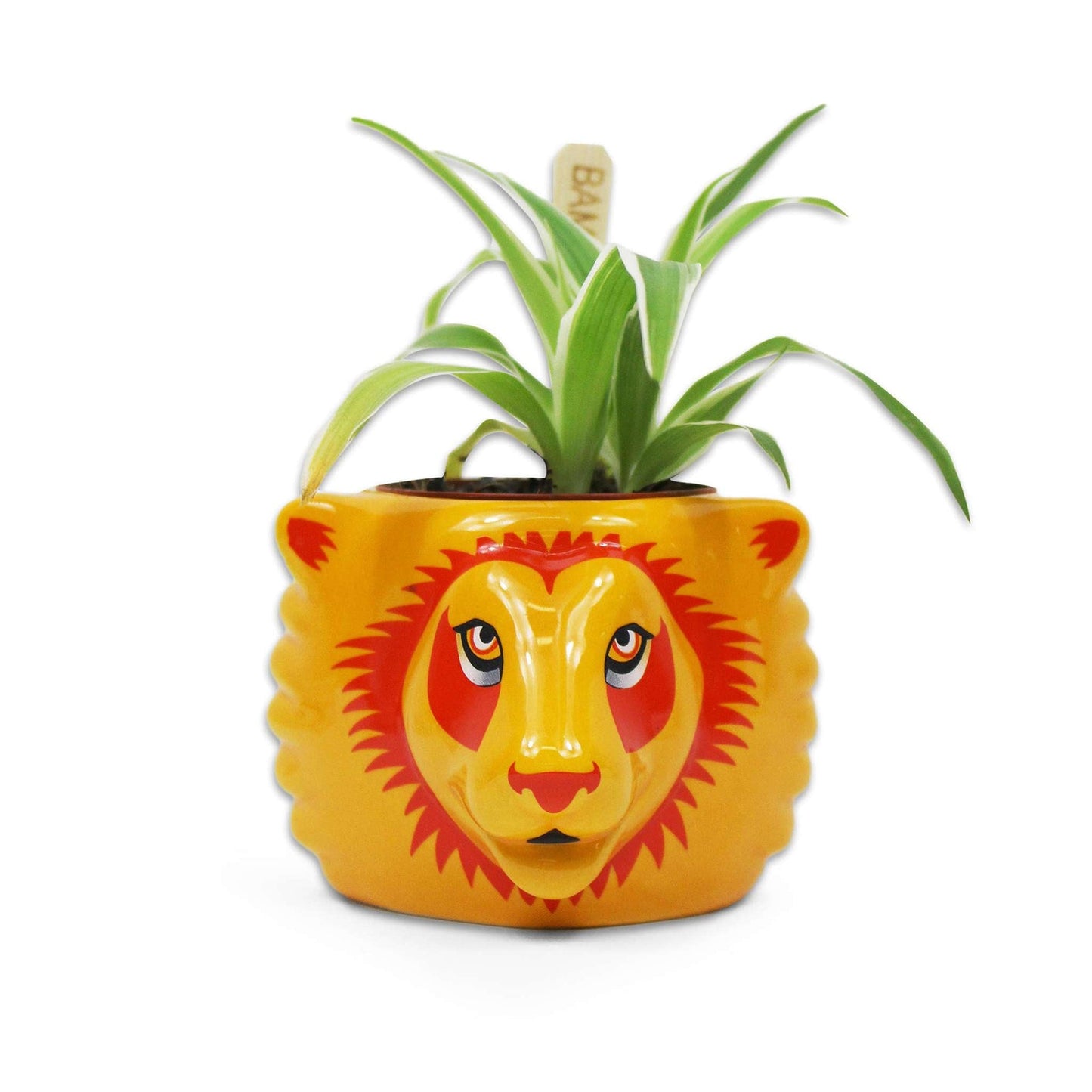 Pot de fleurs Harry Potter - Gryffondor