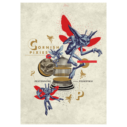 Affiche collector Harry Potter - Pixies