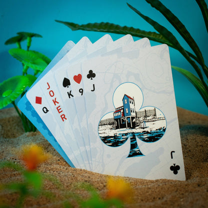 Cartes à jouer Les Dents de la MerJCartes à jouer Les Dents de la MereCartes à jouer Les Dents de la MeruCartes à jouer Les Dents de la Mer Cartes à jouer Les Dents de la MerdCartes à jouer Les Dents de la MereCartes à jouer Les Dents de la Mer Cartes à jouer Les Dents de la MercCartes à jouer Les Dents de la MeraCartes à jouer Les Dents de la MerrCartes à jouer Les Dents de la MertCartes à jouer Les Dents de la MereCartes à jouer Les Dents de la MersCartes à jouer Les Dents de la Mer Cartes à jouer Les Den