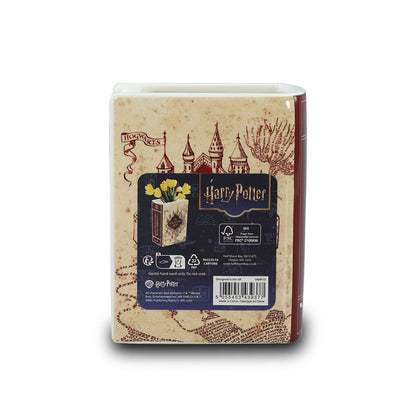 Cache-pot livre en céramique Harry Potter - Carte du Maraudeur 14 cm