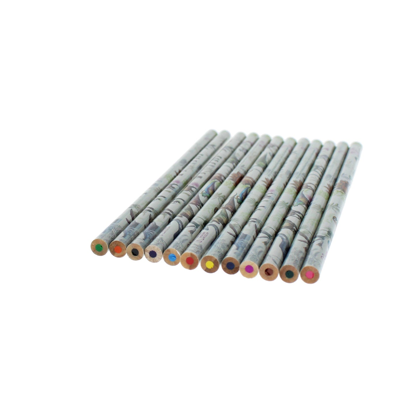 Crayons de – couleur du Musée d'histoire naturelle | Blueprint Collections – vue 4