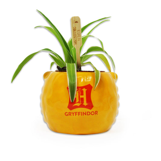 Pot de fleurs Harry Potter - Maison Gryffondor