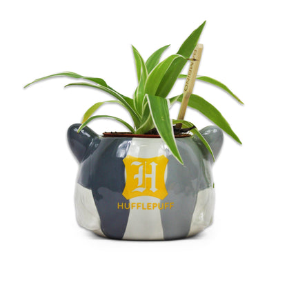 Pot de fleurs Harry Potter - Poufsouffle
