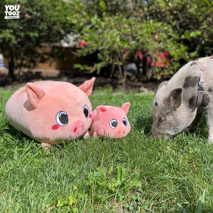 Piggy Pillow (1ft)
