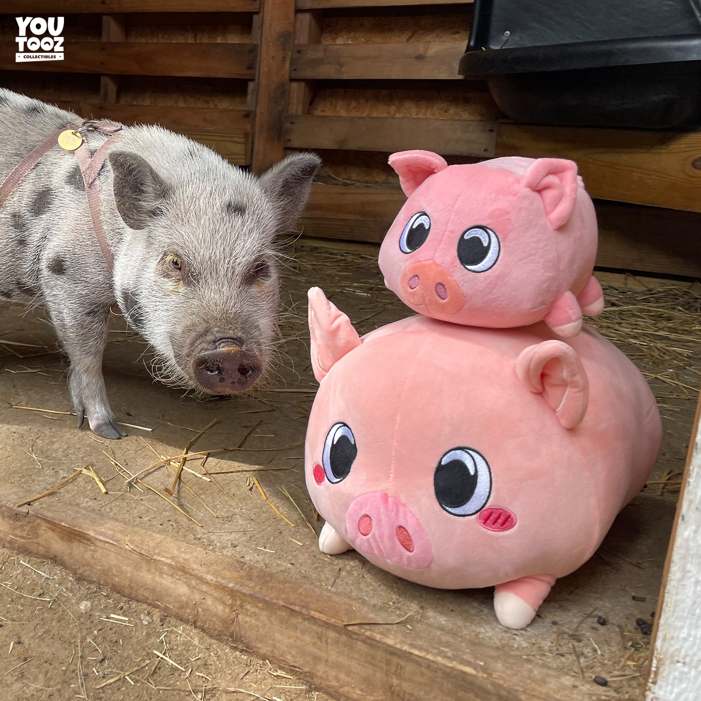 Piggy Pillow (1ft)