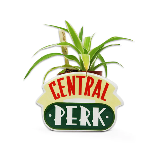 FRIENDS Central Perk Pot Pour Plante