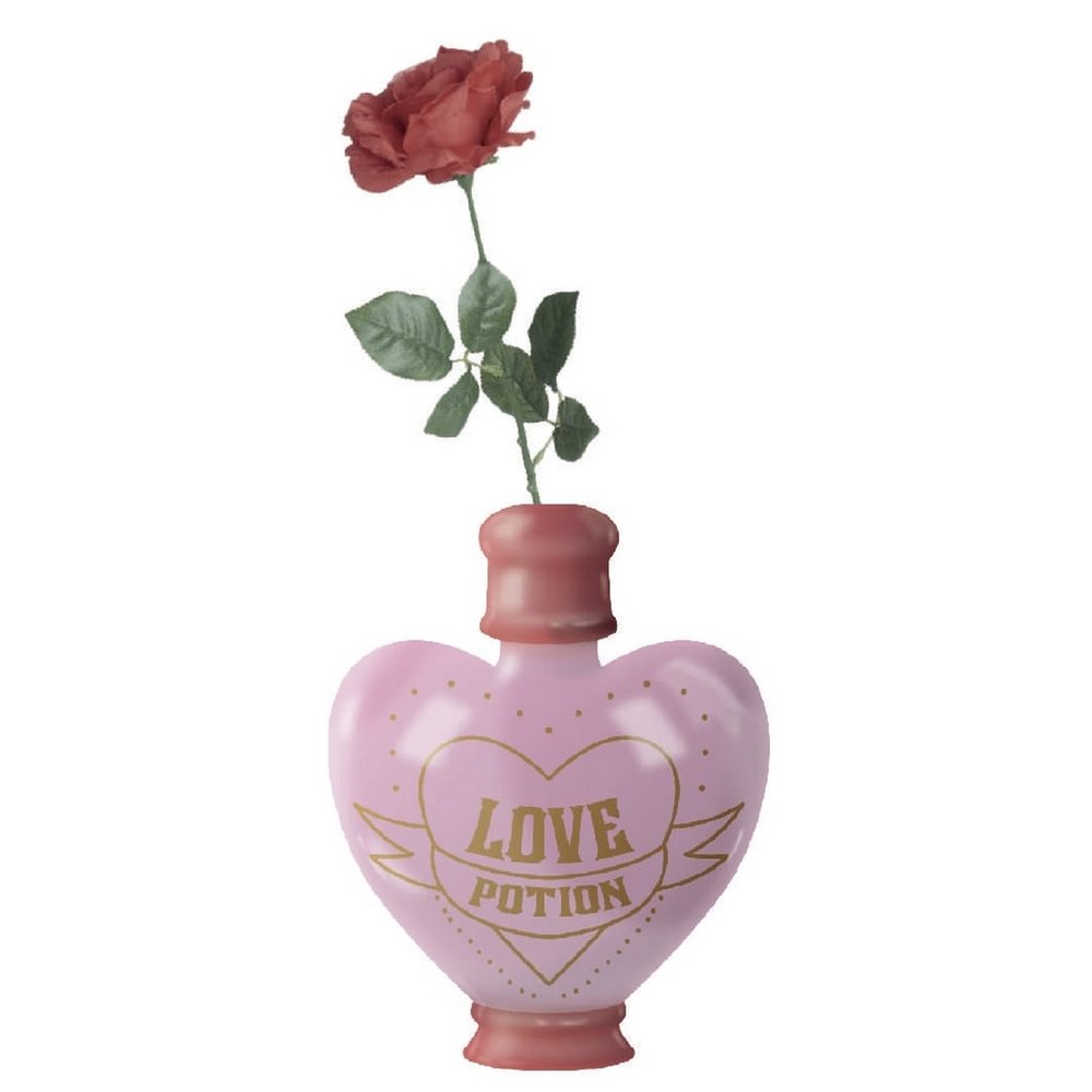 HARRY POTTER Love Potion Pot de fleurs / Vase de table